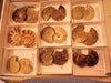Fossils Boxed