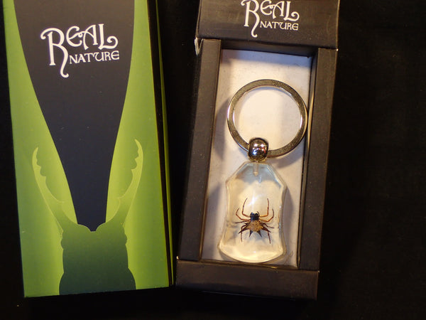 Keyrings - Spiders [Bugs > Jewellery] – Naturally Wild Australia