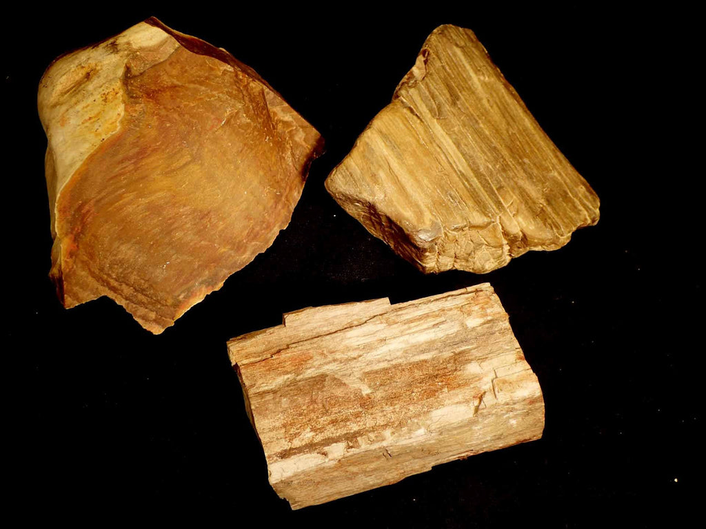 Petrified Wood (Raw)