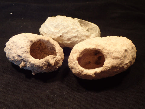 Weevil Cocoons (Dutch Clogs)