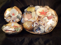 Shells In A Round Basket