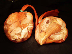 Shells In A Netted Bag