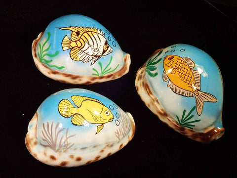 Painted Tiger Cowries - Fish